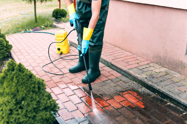 Best Driveway Pressure Washing  in Manassas Park, VA